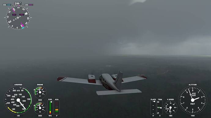 Microsoft Flight Simulator 5_25_2021 11_31_59 AM