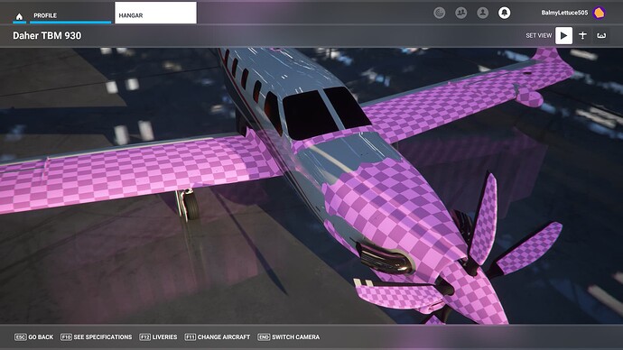 Microsoft Flight Simulator - 1.31.22.0 3_25_2023 4_34_04 PM
