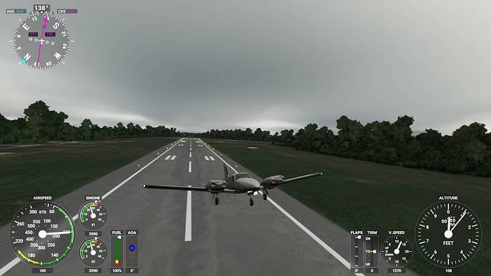 Microsoft Flight Simulator 5_28_2021 8_51_06 AM