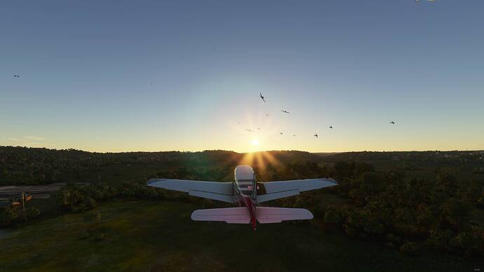 Microsoft Flight Simulator - 1.17.3.0 24.06.2021 22_37_18