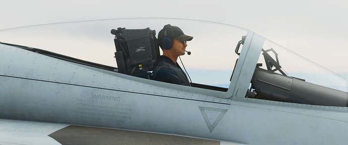Microsoft Flight Simulator Screenshot 2022.03.19 - 13.45.32.22-sdr