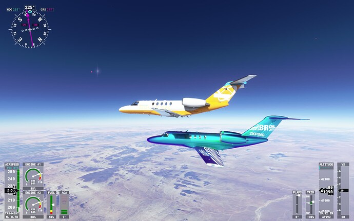 Microsoft Flight Simulator 19_01_2023 11_55_52 p.m.