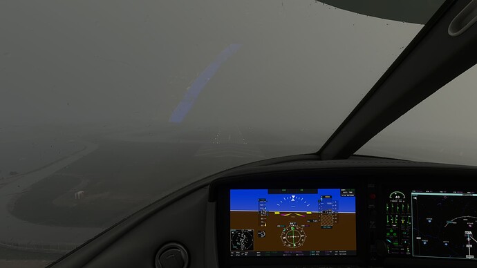 Microsoft Flight Simulator (46)