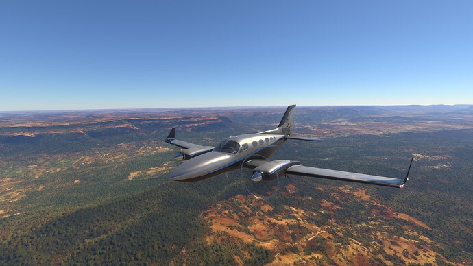 Microsoft Flight Simulator-2025_03_30-10-13-28