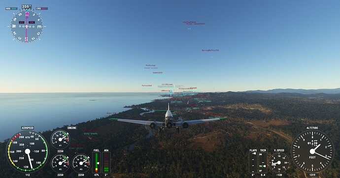 Microsoft Flight Simulator Screenshot 2022.02.04 - 20.21.28.82