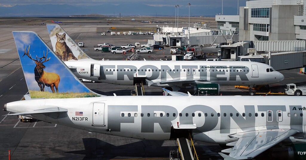 Frontier Airlines whole new animal 2005 livery font needed please ...