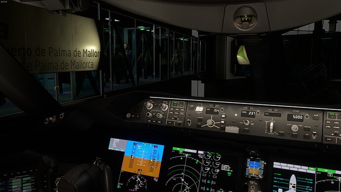 Microsoft Flight Simulator_2024.01.02-21.09