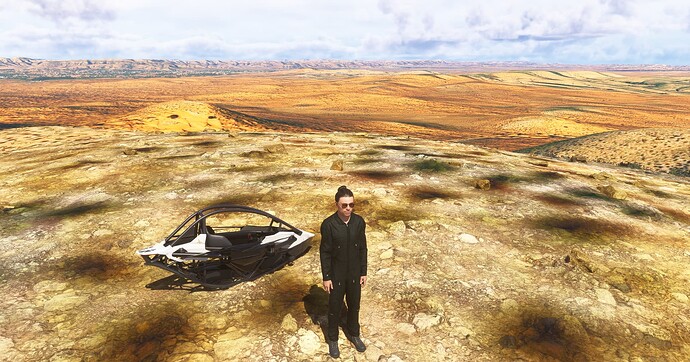 Microsoft Flight Simulator 2024 Screenshot 2025.05.11 - 10.51.02.54