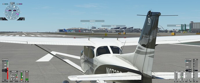 Microsoft Flight Simulator 7_21_2022 8_25_27 PM