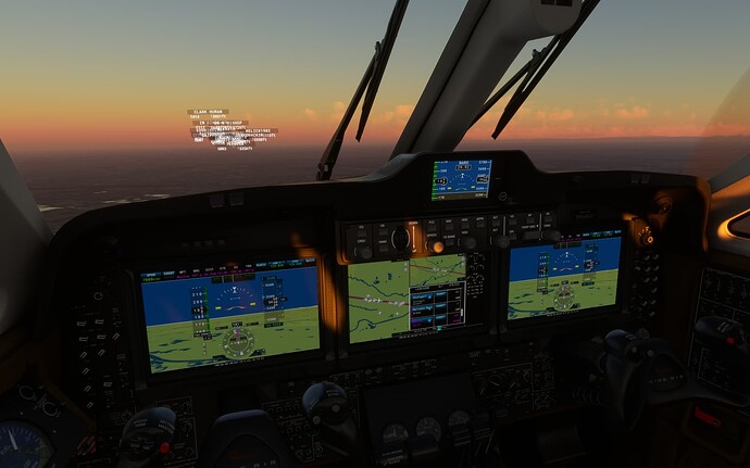 Microsoft Flight Simulator 20-9-2024 21_25_43