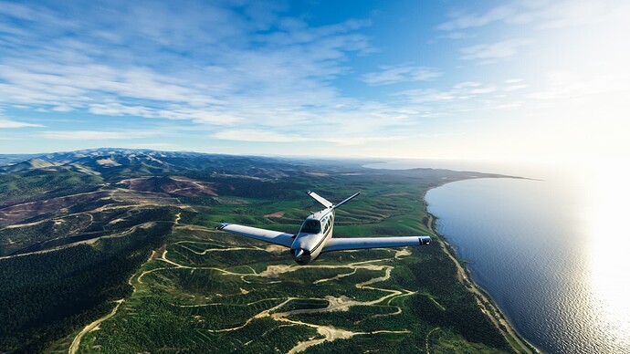 Microsoft Flight Simulator Screenshot 2023.08.13 - 17.32.50.23