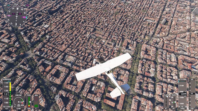 Microsoft Flight Simulator-2024_11_24-01_06_34