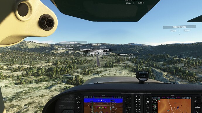 Microsoft Flight Simulator Screenshot 2021.11.05 - 20.18.51.08