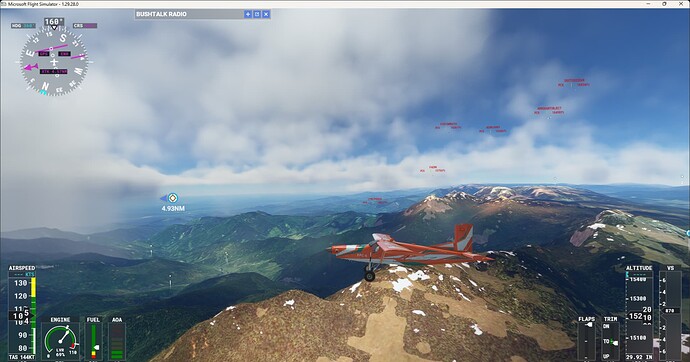 Microsoft Flight Simulator 11_14_2022 8_58_42 PM