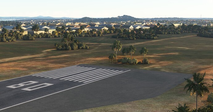 runway_threshold_plants