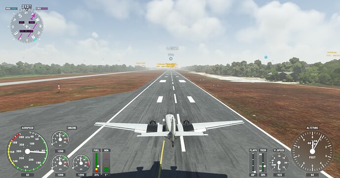 Microsoft Flight Simulator Screenshot 2022.05.15 - 22.15.18.73