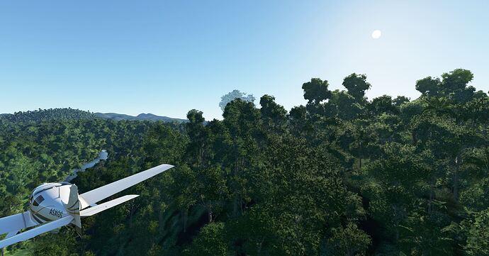 Rainforest3x