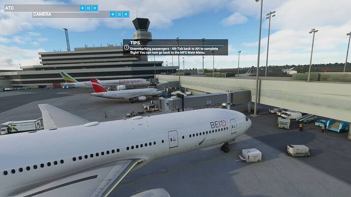 Microsoft Flight Simulator 20_05_2021 00_42_11
