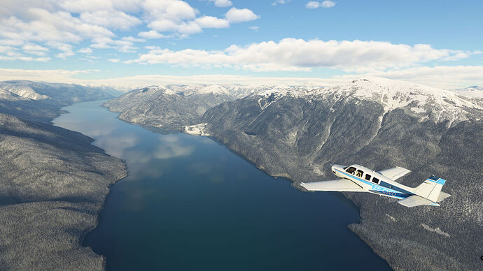 FS2020 2022-01-08 106