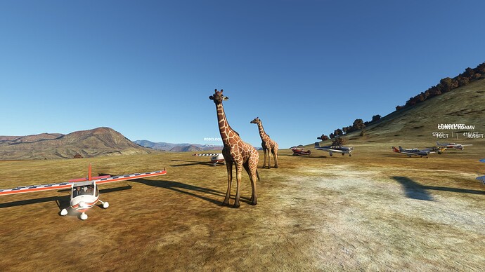 Microsoft Flight Simulator 1_23_2022 12_58_57 PM
