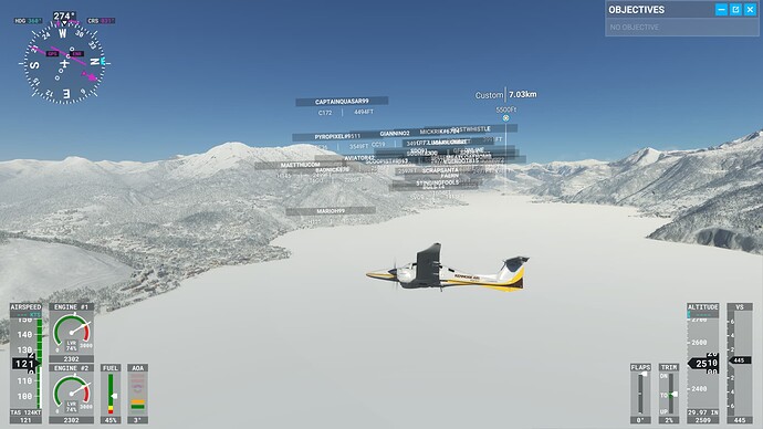 Microsoft Flight Simulator Screenshot 2022.03.04 - 21.34.11.70