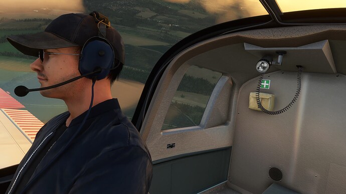 Microsoft Flight Simulator 20_11_2021 15_46_49
