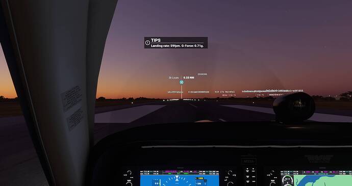 Microsoft Flight Simulator Screenshot 2021.07.25 - 21.26.51.70