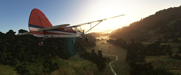 Microsoft Flight Simulator Screenshot 2022.10.25 - 23.01.46.93 (2)