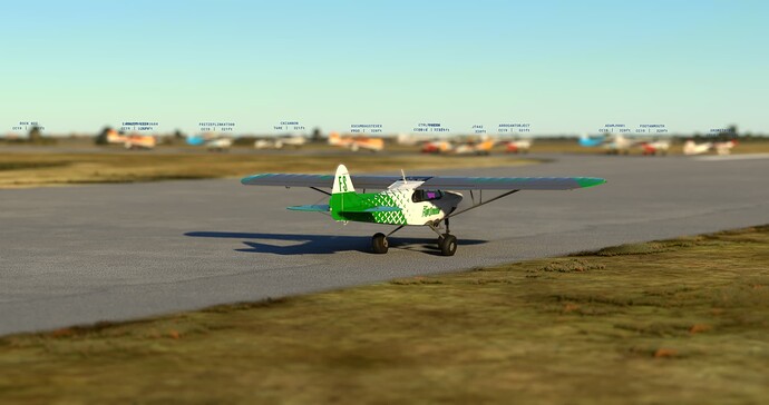 Microsoft Flight Simulator 14_02_2022 21_11_31