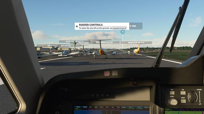 Microsoft Flight Simulator 6_12_2021 11_43_05 AM