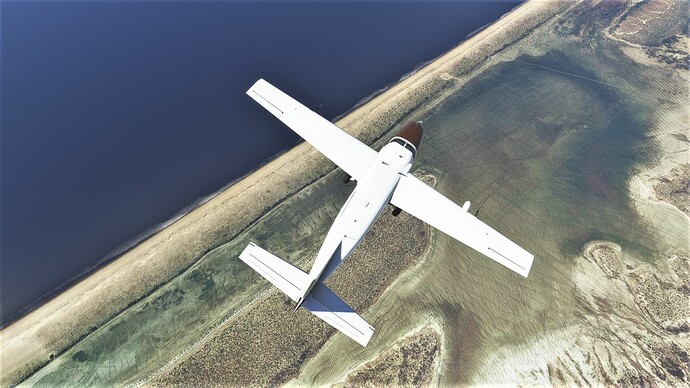 Microsoft Flight Simulator Screenshot 2022.01.14 - 18.57.30.53 (2)