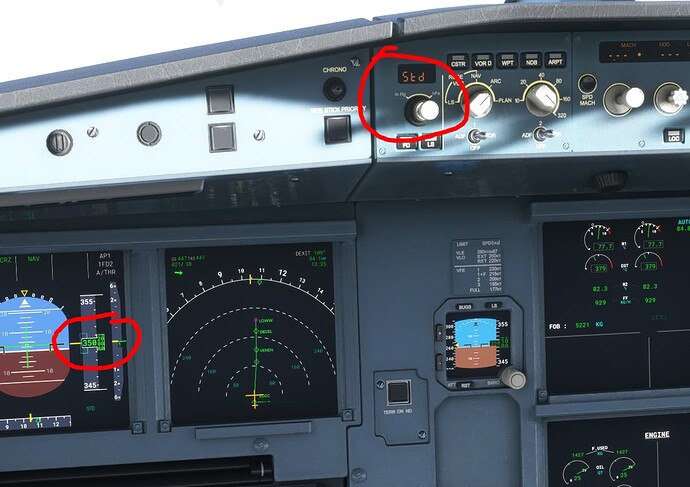 Cockpit Indication.PNG