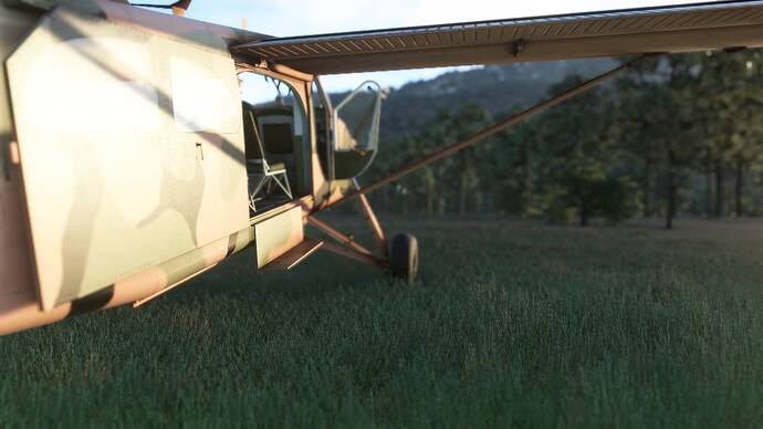 Microsoft_Flight_Simulator_2024-11-22_10_00_40_PM