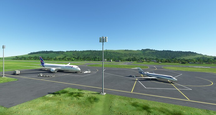 Microsoft Flight Simulator 2_1_2023 1_11_44 PM