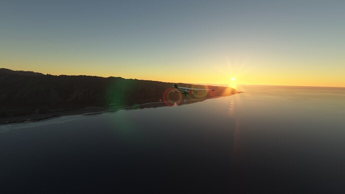 Microsoft Flight Simulator 1. 1. 2024 11_54_03