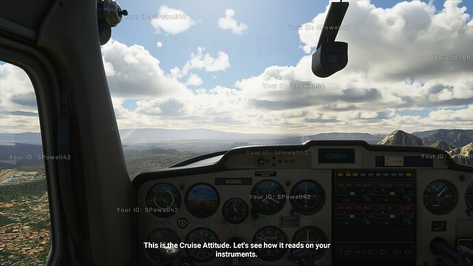 Screenshot 1 cockpit too dark