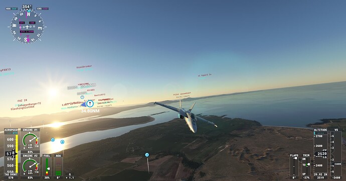 Microsoft Flight Simulator Screenshot 2021.11.19 - 20.19.24.14