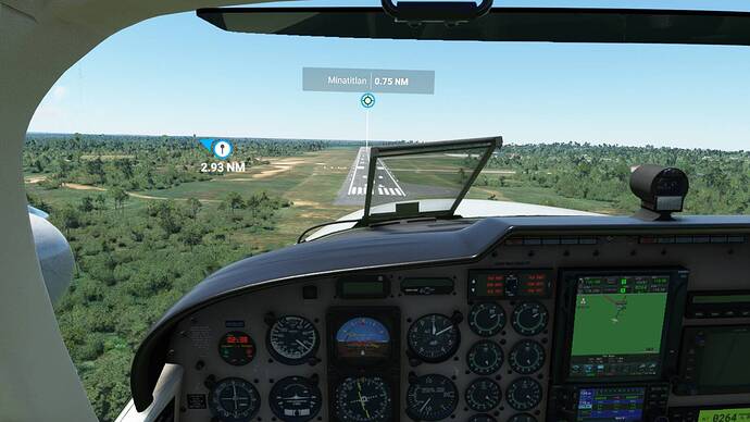 Microsoft Flight Simulator 5_31_2021 12_38_24 PM