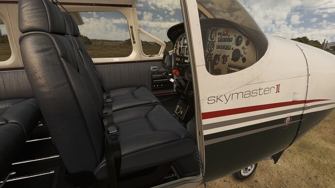 Microsoft Flight Simulator 19.01.2022 14_39_17