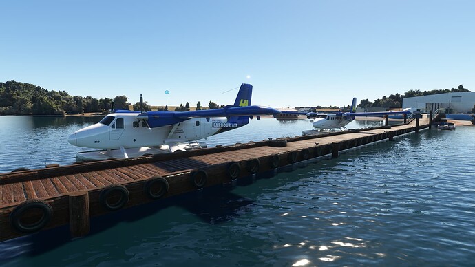 Microsoft Flight Simulator-2023_12_21-05-03-34