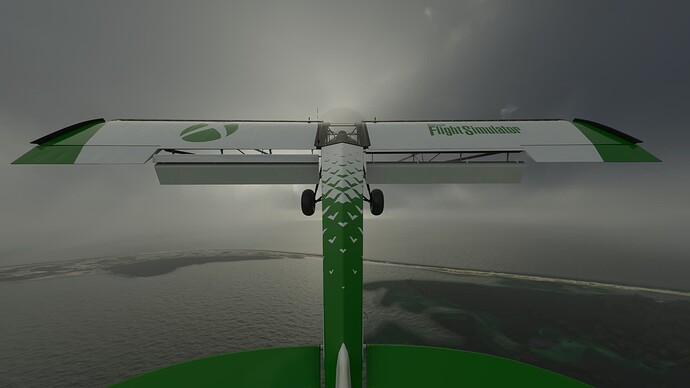 Microsoft Flight Simulator 2022-02-13 11_31_57 PM