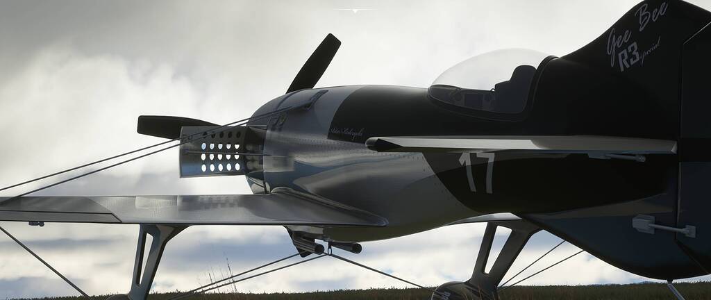 Microsoft Flight Simulator 2020 announcement surprised fanatics