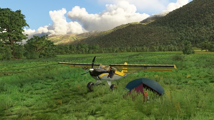 Microsoft Flight Simulator Screenshot 2022.06.09 - 20.38.19.00