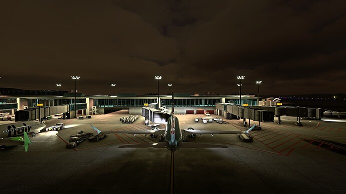Microsoft Flight Simulator Screenshot 2024.06.21 - 23.05.13.07