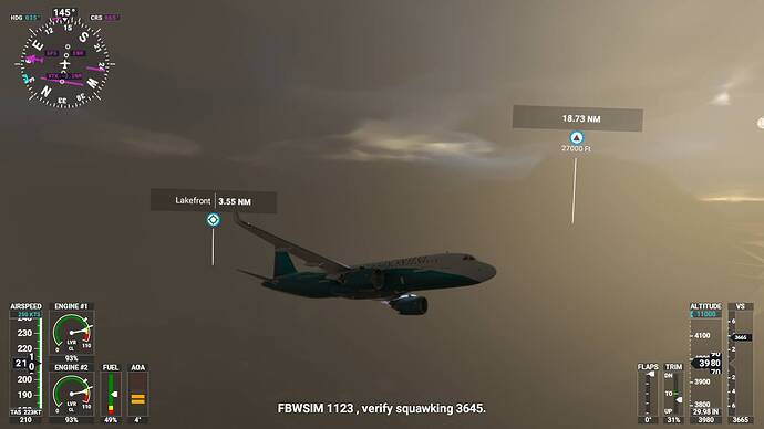 Microsoft Flight Simulator 5_18_2021 4_58_51 AM