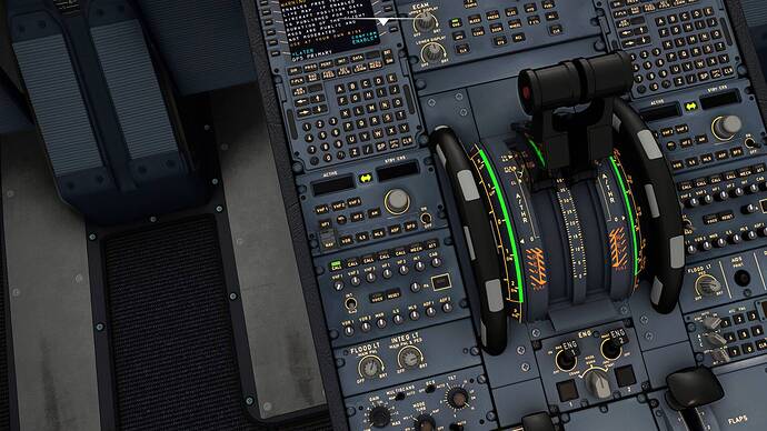 Microsoft Flight Simulator 03.08.2021 13_35_51