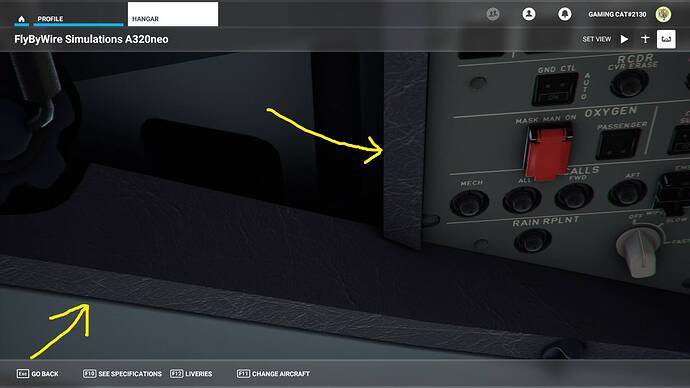Microsoft Flight Simulator 23.07.2021 22_23_12