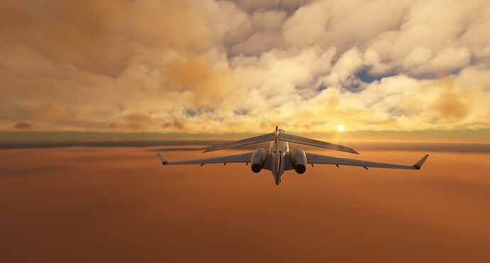 Microsoft Flight Simulator 1_9_2023 8_30_06 AM