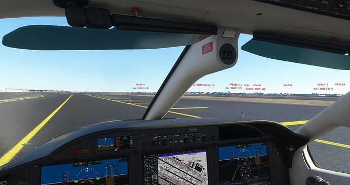 Microsoft Flight Simulator 11_24_2021 10_29_09 AM
