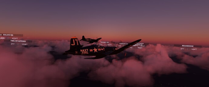 Microsoft Flight Simulator Screenshot 2022.01.12 - 02.31.40.70